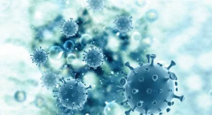 ¿es peligroso el metapneumovirus humano (hmpv) que ha desatado la alarma en china?