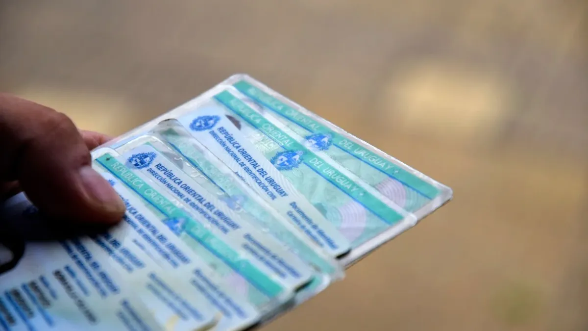Estas son las falsas filtraciones de PampaLeaks sobre las cédulas y un supermercado