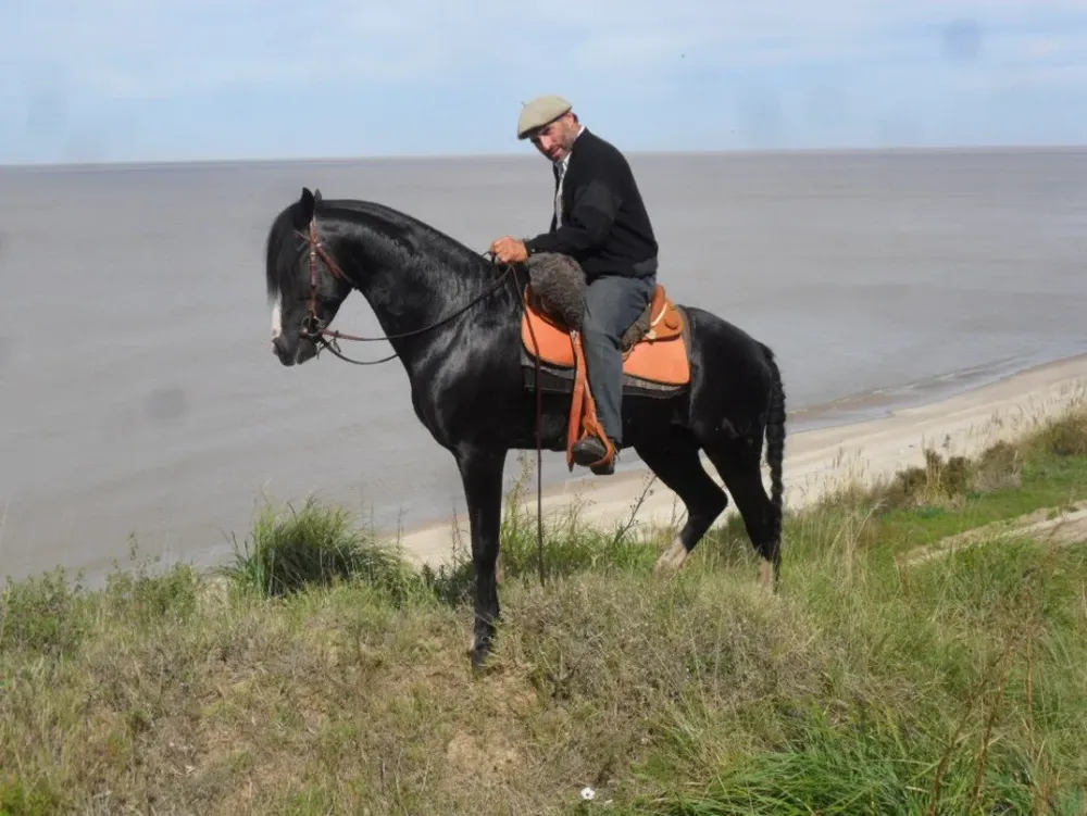 Callero con el criollo de Néstor Fabián, Platino Marcacruz