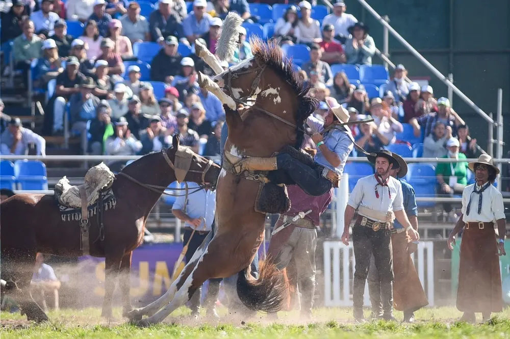 Murió un caballo en la Semana Criolla en la Rural del Prado