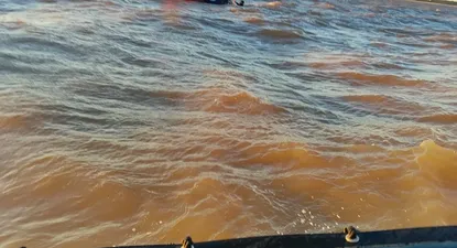 Rescate en el Río de la Plata