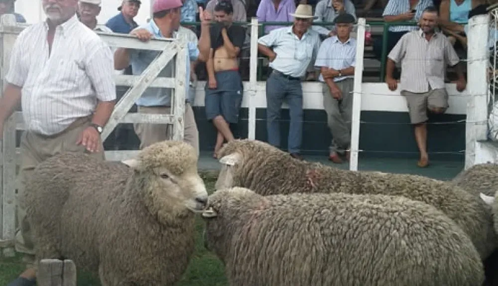 El martillo de Marrero Ltda condujo una jornada de buenos negocios