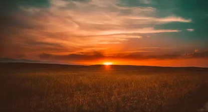 Sustentabilidad al centro del negocio