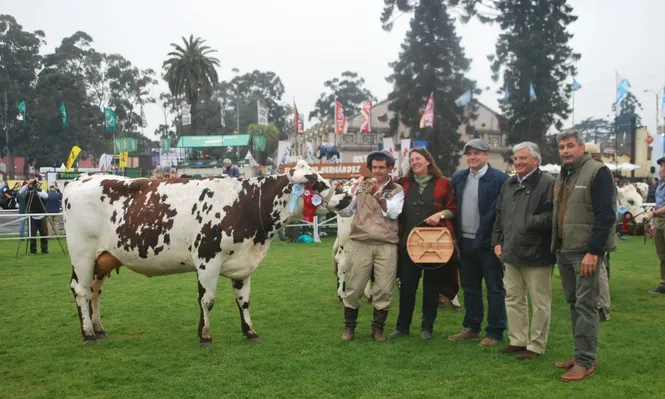 Gran Campeona Normanda fue para cabaña La Prenda Chica