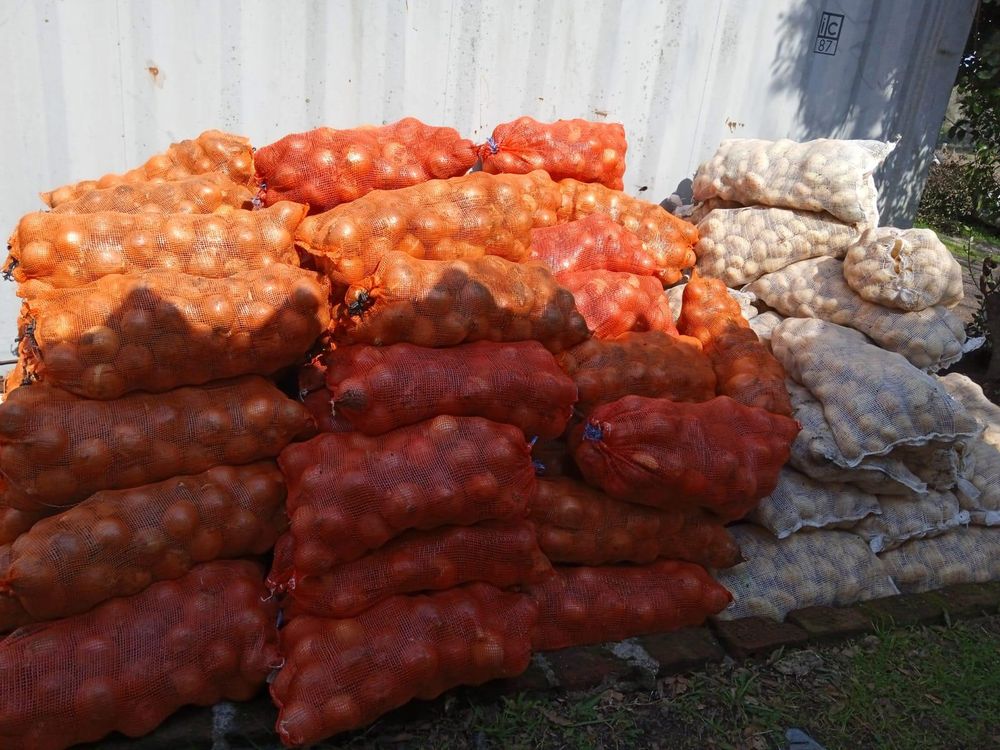 Cargmento de papas y cebolla de contrabando que ingresó desde Brasil