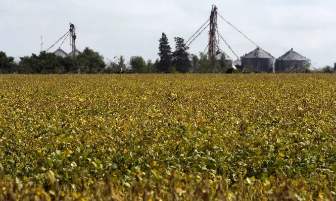 El gobierno argentino recibe dólares inesperado en un momento clave para la reactivación pospandemia.
