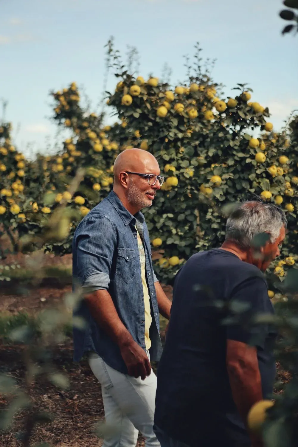 Deberá mantener un tratamiento durante seis meses para recuperarse