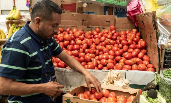 3 efectos que pueden tener los aranceles que Trump impuso a los tomates mexicanos