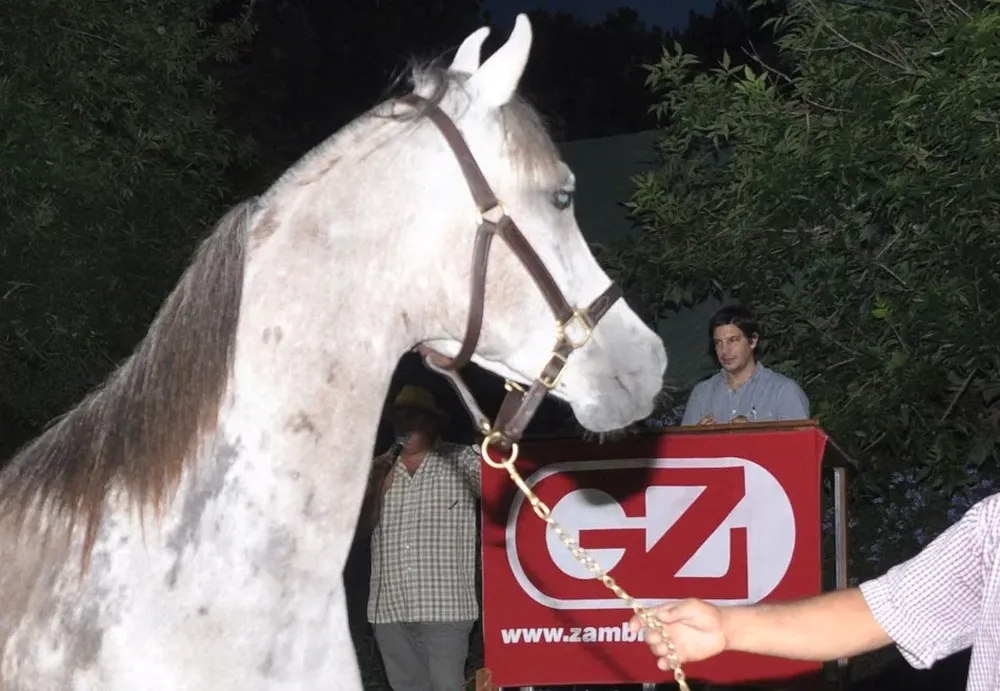 Una oferta de alta gama remató Alejandro Zambrano