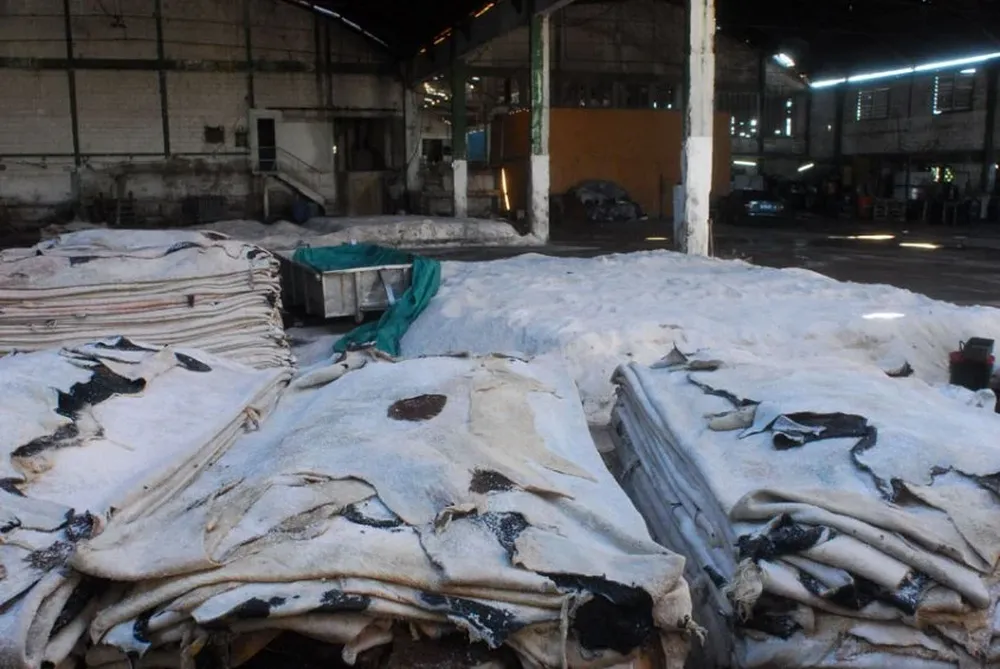 Industria del cuero. Foto Archivo.