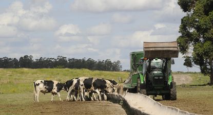 Tamberos: gremiales del sector se pronunciaron sobre la reciente inversión que decidió Colonización.