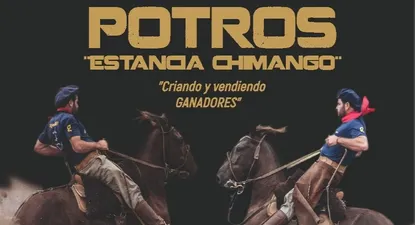 expectativa: federico rodriguez rematara los criollos de estancia chimango