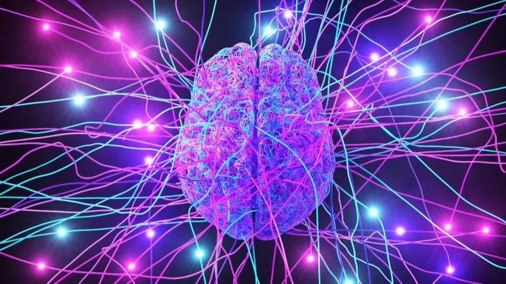 En el mismo cerebro tenemos lo que es complejo y lo que es esencial y eso provoca que muchas de las cosas complicadas que hacemos, desencadenen reacciones primitivas que están en un nivel mucho más básico