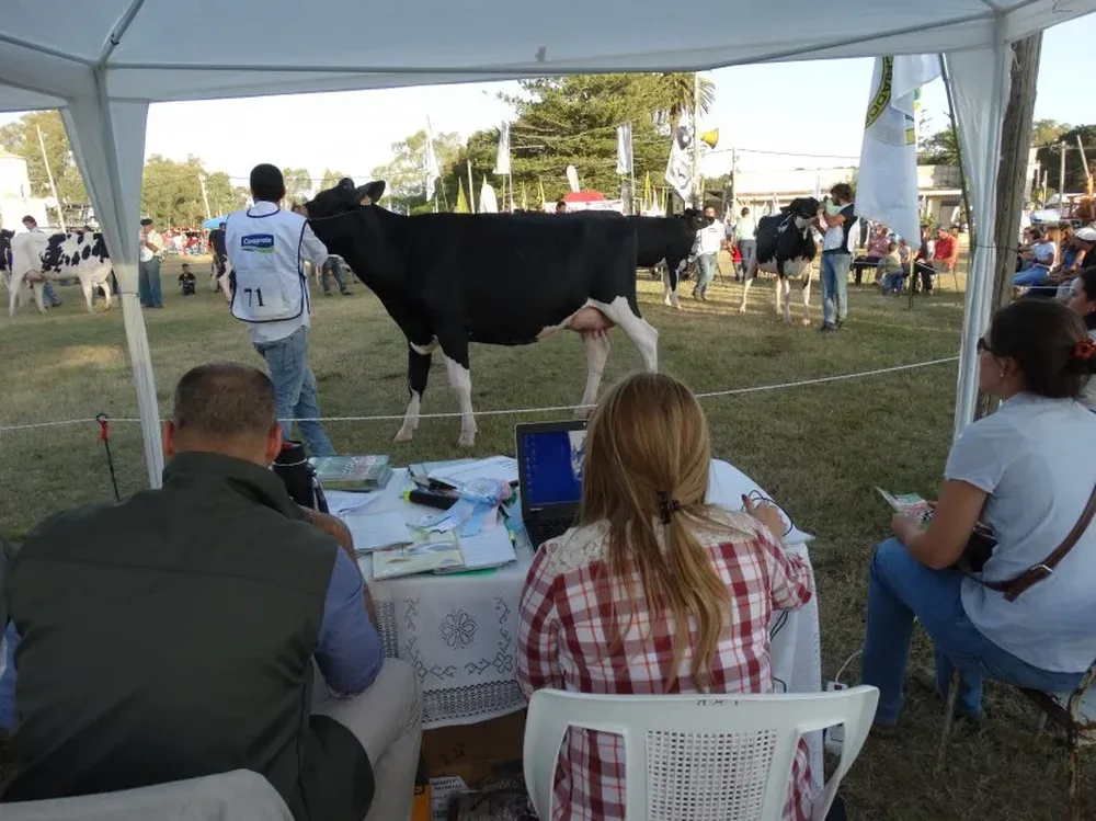 El predio de exposiciones está sobre el km 30 de la ruta 22, en Colonia.