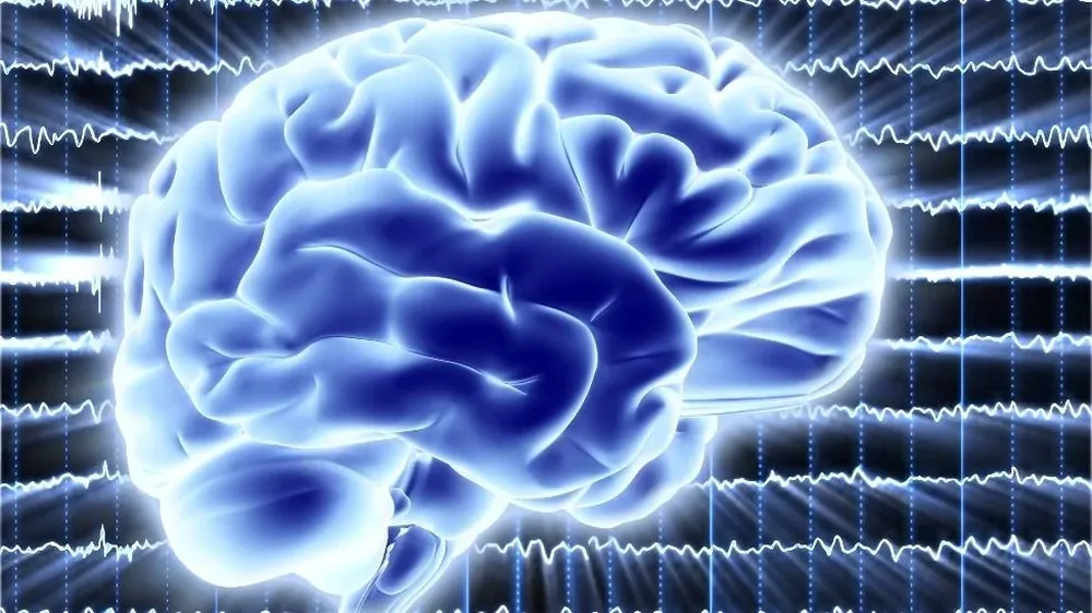 Queríamos probar que el cerebro se puede comportar de una manera cuántica, señaló el científico español David López Pérez