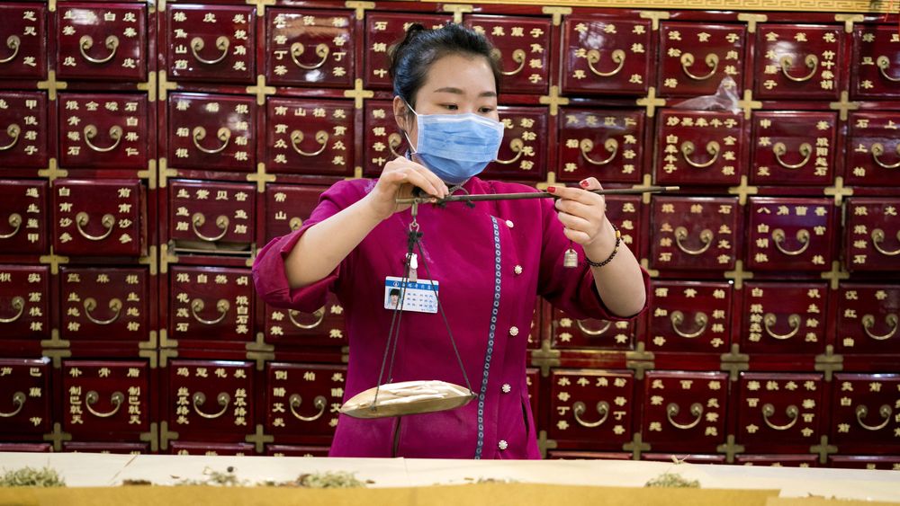 En la medicina tradicional china, los cálculos biliares bovinos se han usado durante siglos.