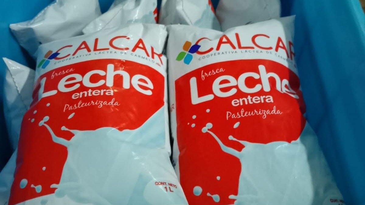 A 12 días de la reapertura de Calcar, avanza la producción de lácteos y la empresa y sus activos salen a venta