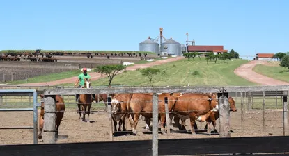 El Observador | 1617919142525.webp