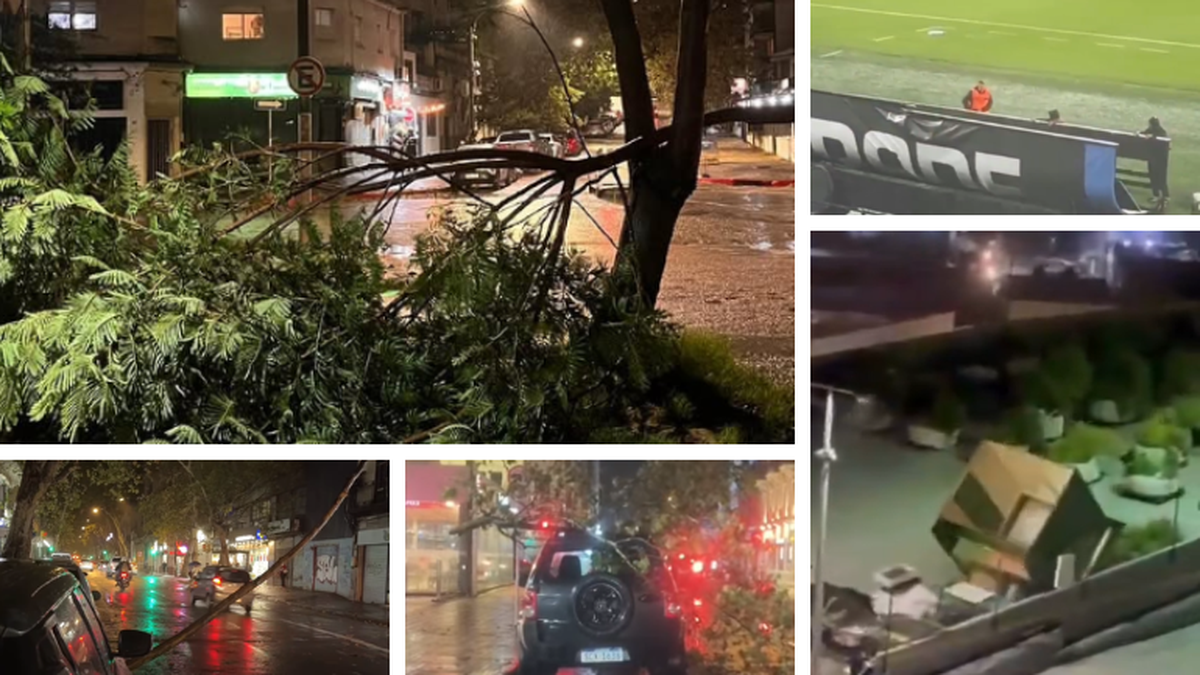 Árboles caídos, voladuras en el Centenario y destrozos en un shopping: lo que dejó el ciclón extratropical en Montevideo