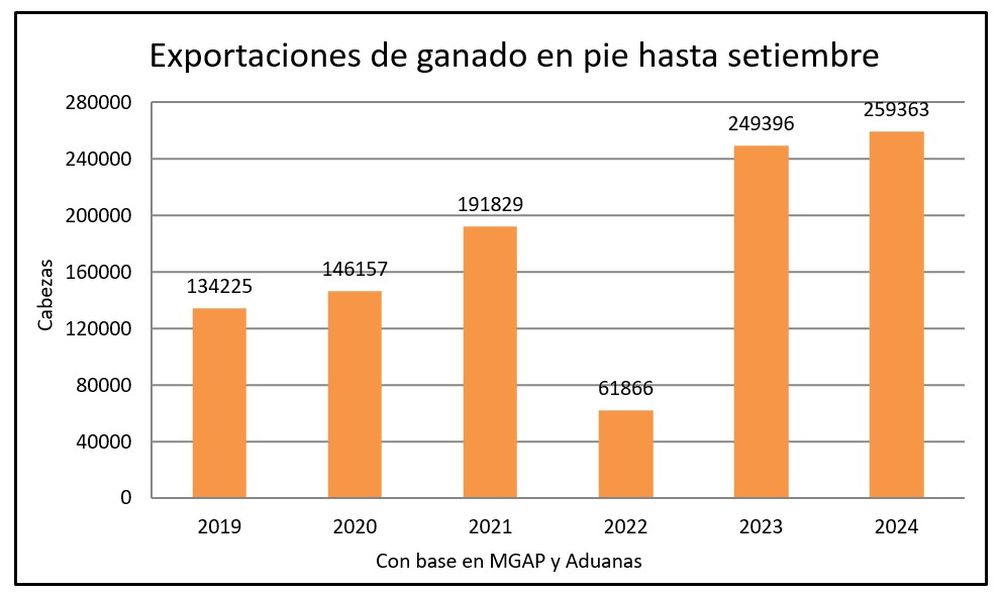 Mercado ganadero, Blasina y Asociados.