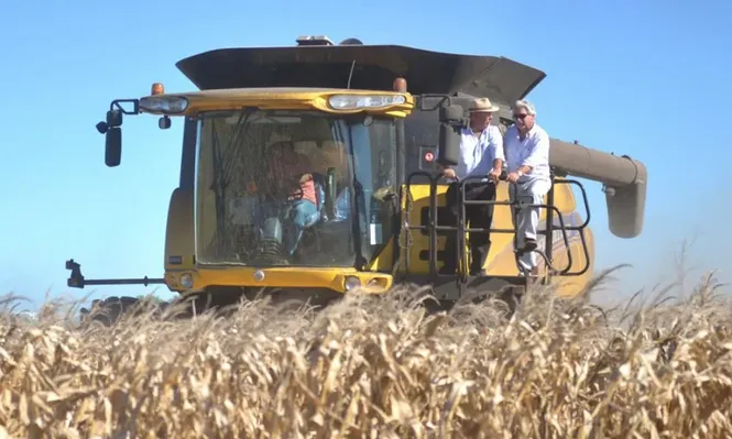 Entre el USDA y la presión bajista