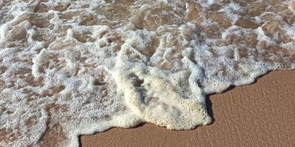 Agua marrón en las playas de Punta del Este