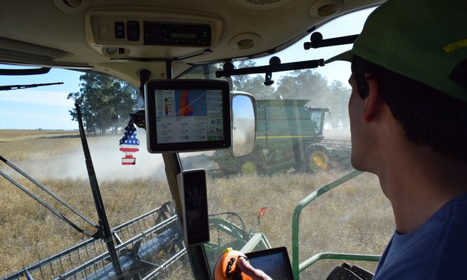 Maquinaria agrícola: cosecha de colza en San José.