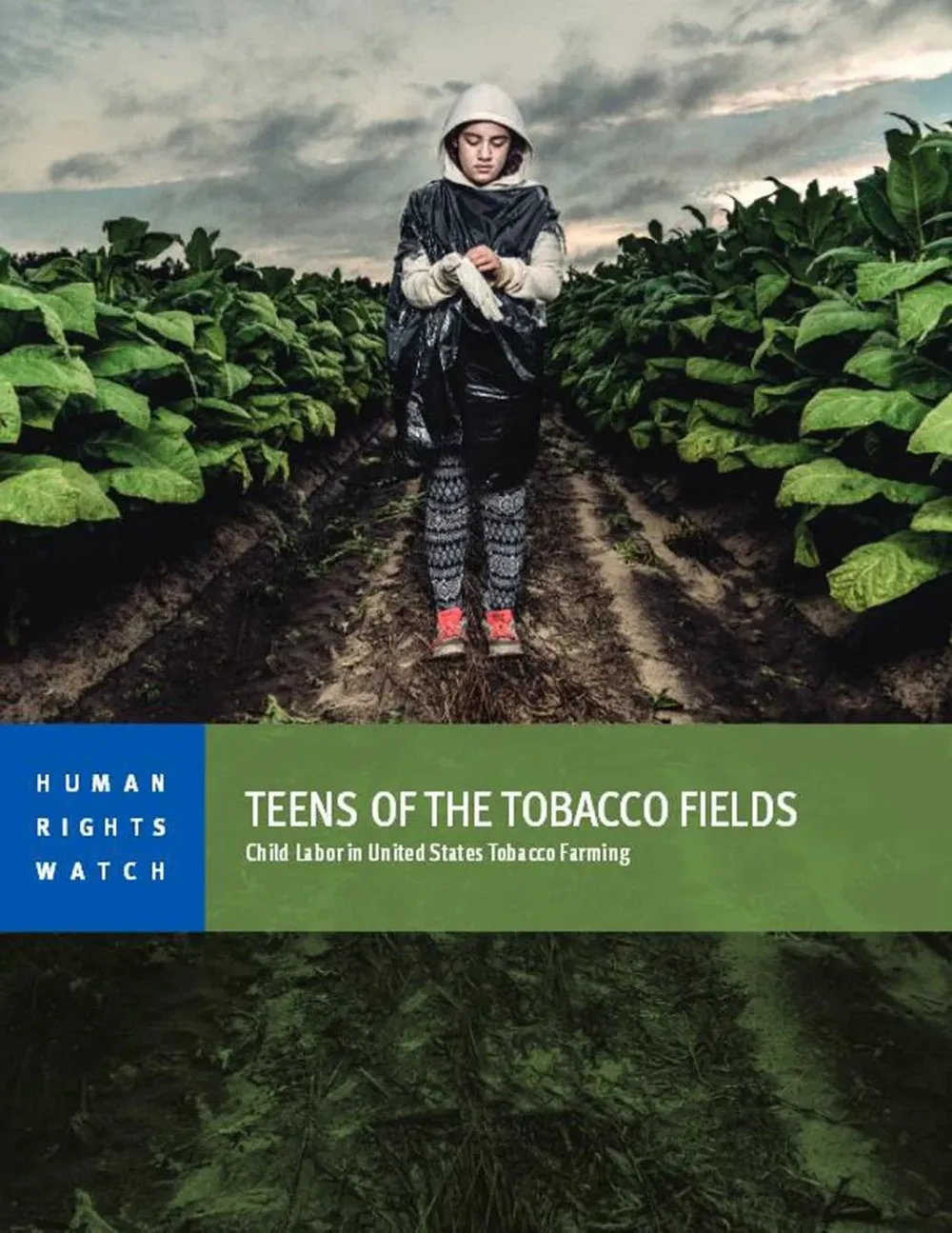 La tapa del reporte elaborado por la organización Human Rights Watch
