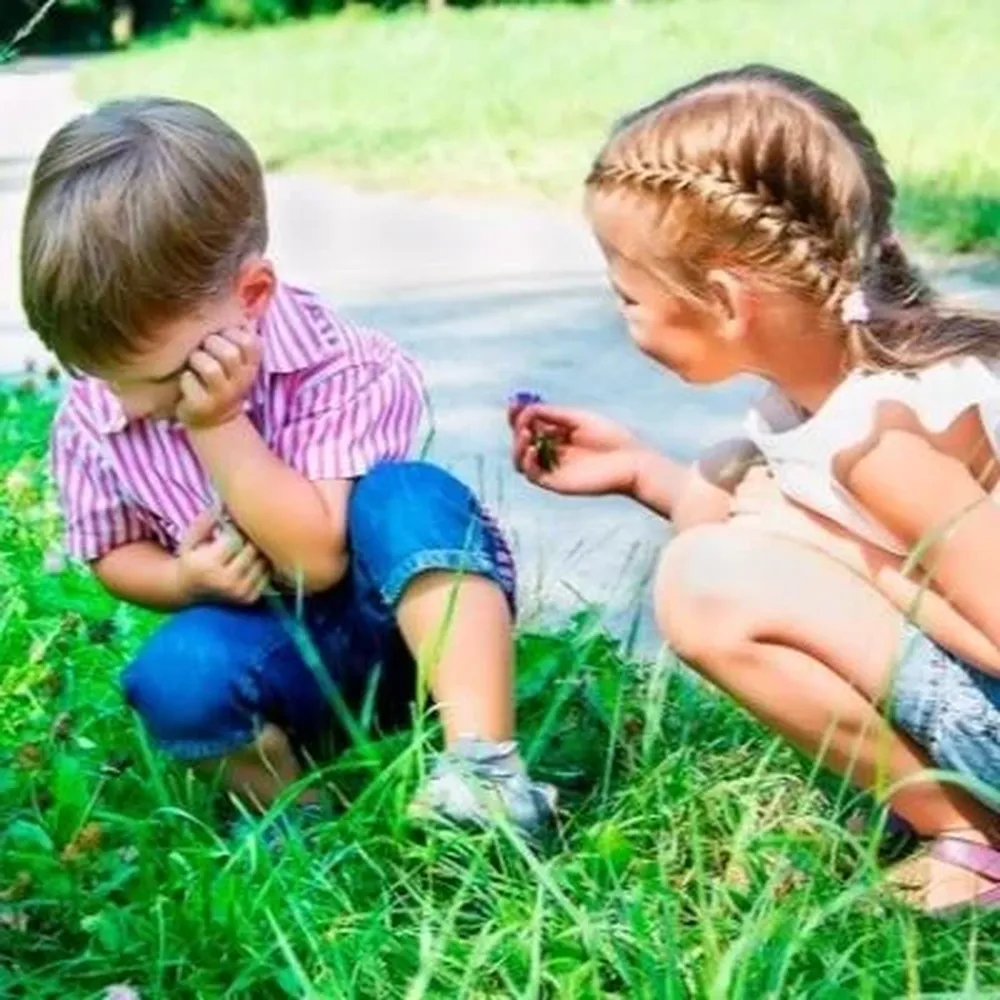 Peleas entre los hijos