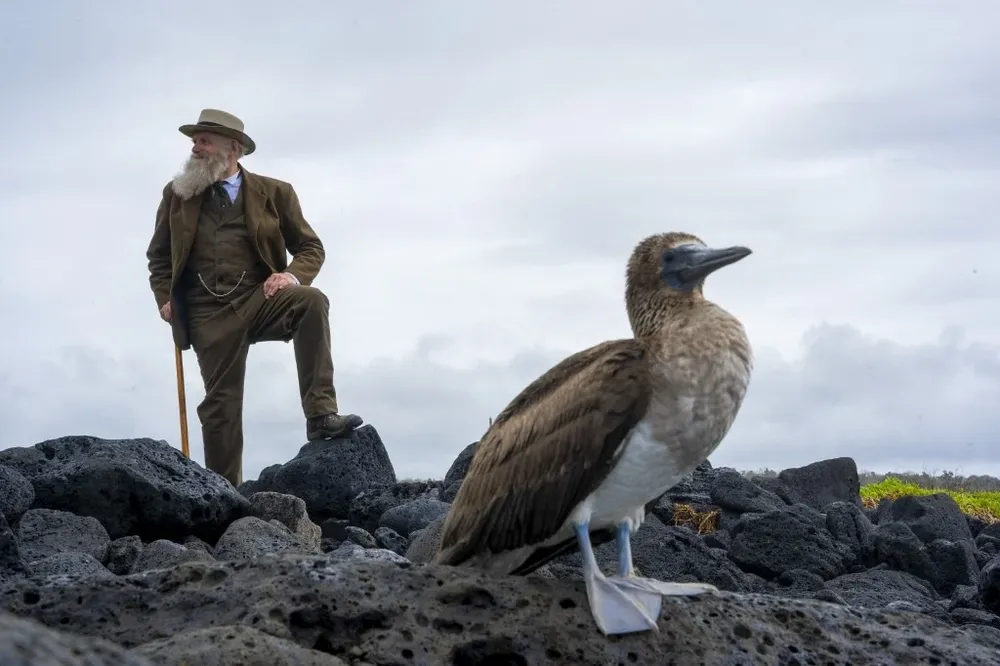 “Esto me da una base más sólida para entender todo lo que Darwin escribió y lo que la gente ha dicho sobre él”, dice Noll.