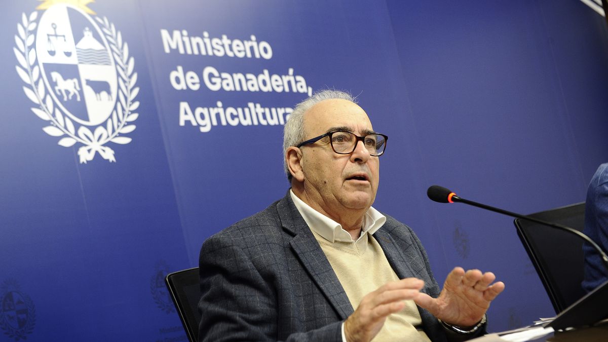 Fratti, en medio de la polémica por la exportación de ganado en pie, anunció la apertura de tres mercados