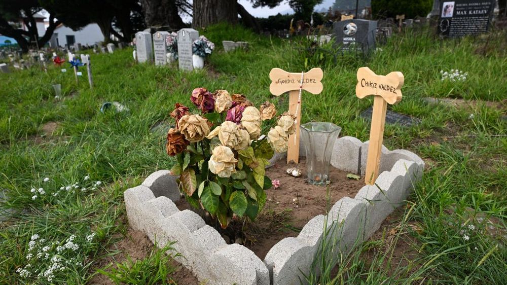 Málaga cuenta desde este lunes con el primer cementerio público de animales de compañía de España