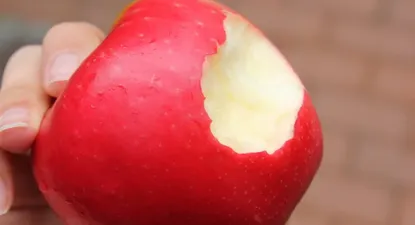 El Observador | 0007249292.webp