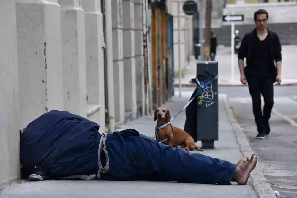 Los animales recibirán atención gratuita; el acuerdo es por tres meses con posibilidades de prolongarse