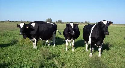 El Observador | Se extenderá una exigencia ya obligatoria en la agricultura
