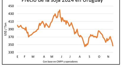 Cultivos de invierno con mercados a la baja, por Blasina y Asociados.