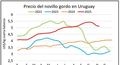 Señales de repunte para el precio del ganado en la recta final de la faena de vacunos para la cuota europea