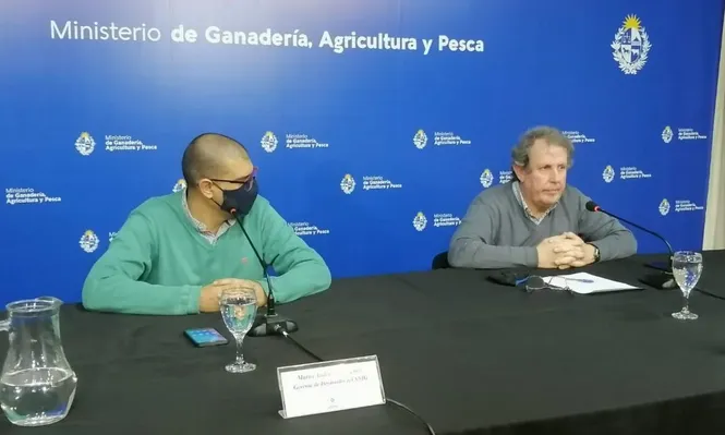 Falla en la web del SNIG no impide movimientos de animales