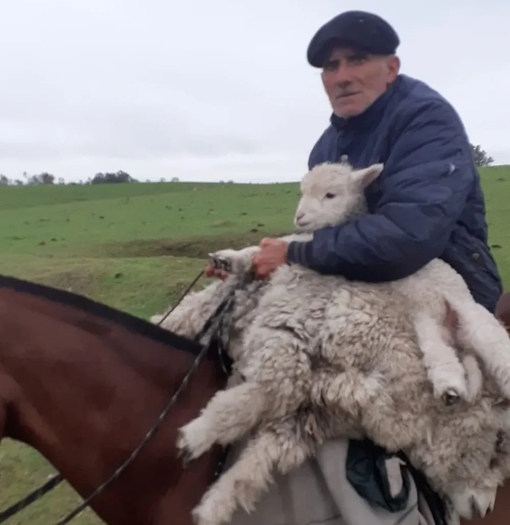 Miguel Núñez, pequeño productor ganadero en campos de Cerro Largo.