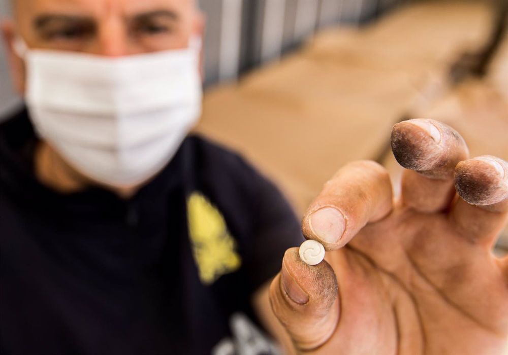 &nbsp;Incautación de pastillas de captagón en Italia.