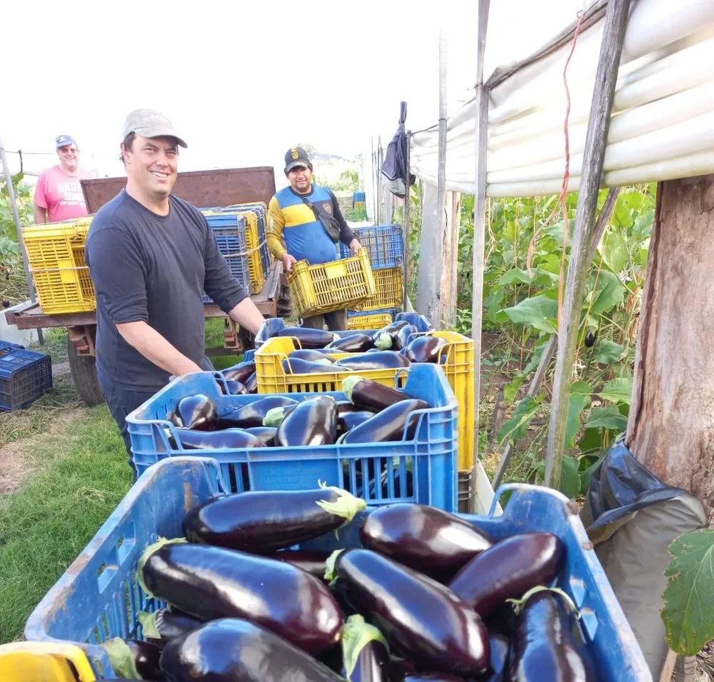 El predio productivo de Fredy Gallino.