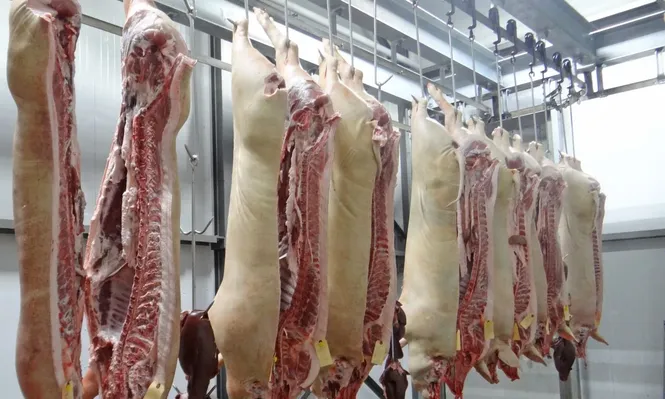 Producción de carnes.