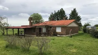 Cartelera de subastas
