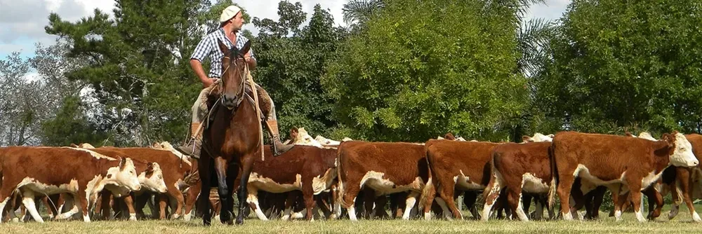 El crecimiento del campo puede tener un freno