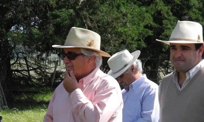 El ministro Aguerre y titular del SUL, Joaquín Martinicorena, buscaron ayuda para el sector ovino