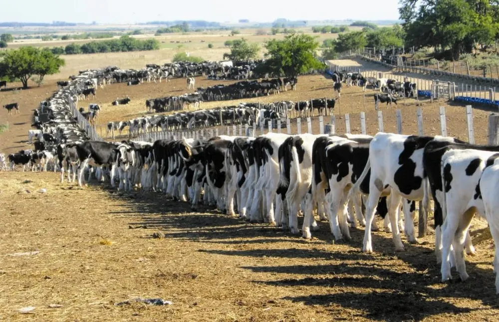 Concentración modelo de Urchitano en el paraje Berrondo