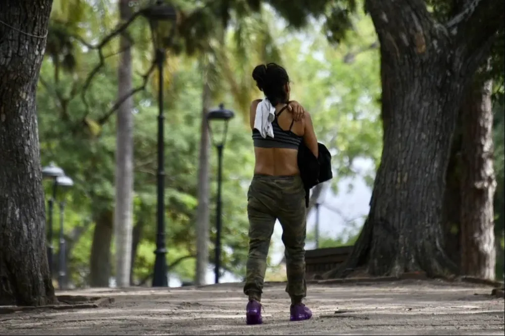 Invasión de mosquitos en Montevideo