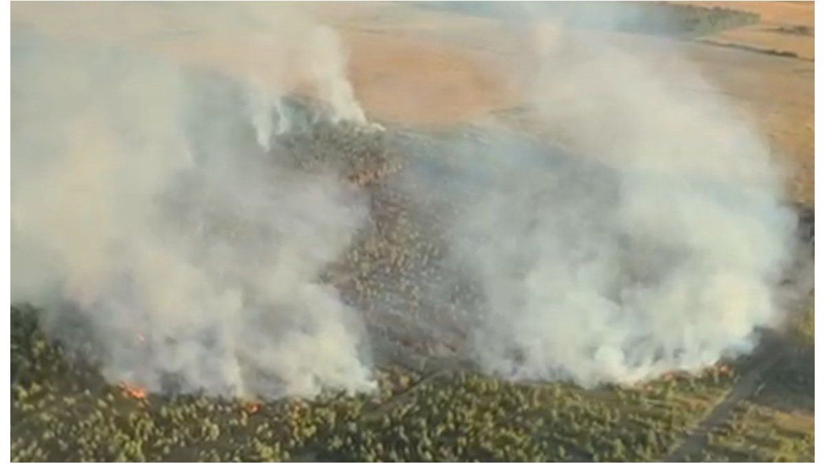 Incendio forestal en Canelones afecta 30 hectáreas, una mujer muere en incendio en Aguada
