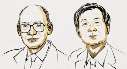 Premian con el Nobel de Química a dos investigadores que revolucionaron la fabricación de medicamentos, fragancias y nuevos materiales