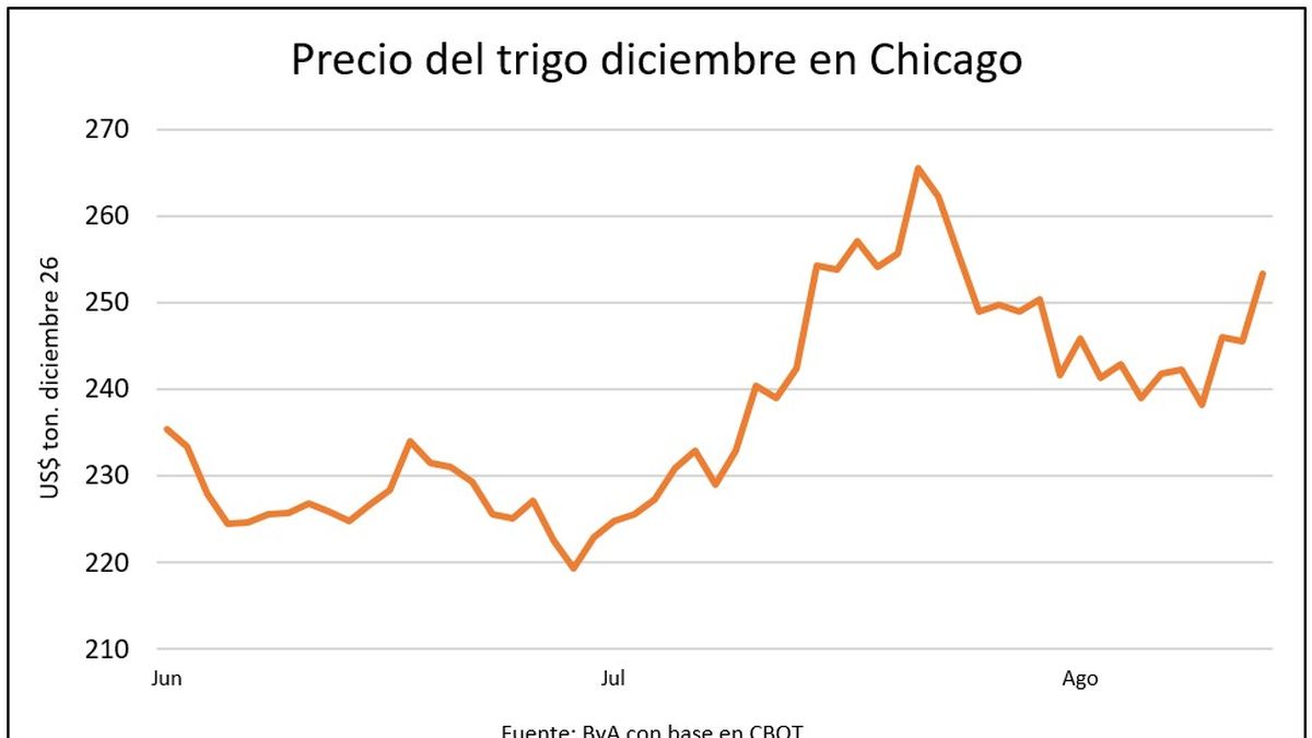 Los precios de los granos empujados por “las dos w” como fuerzas alcistas